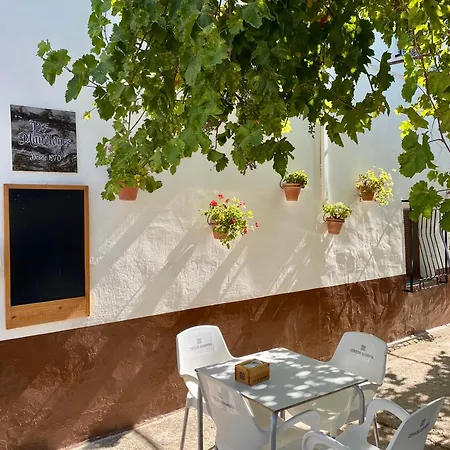 Alojamiento Rural Mar De Olivos Castril Exterior photo