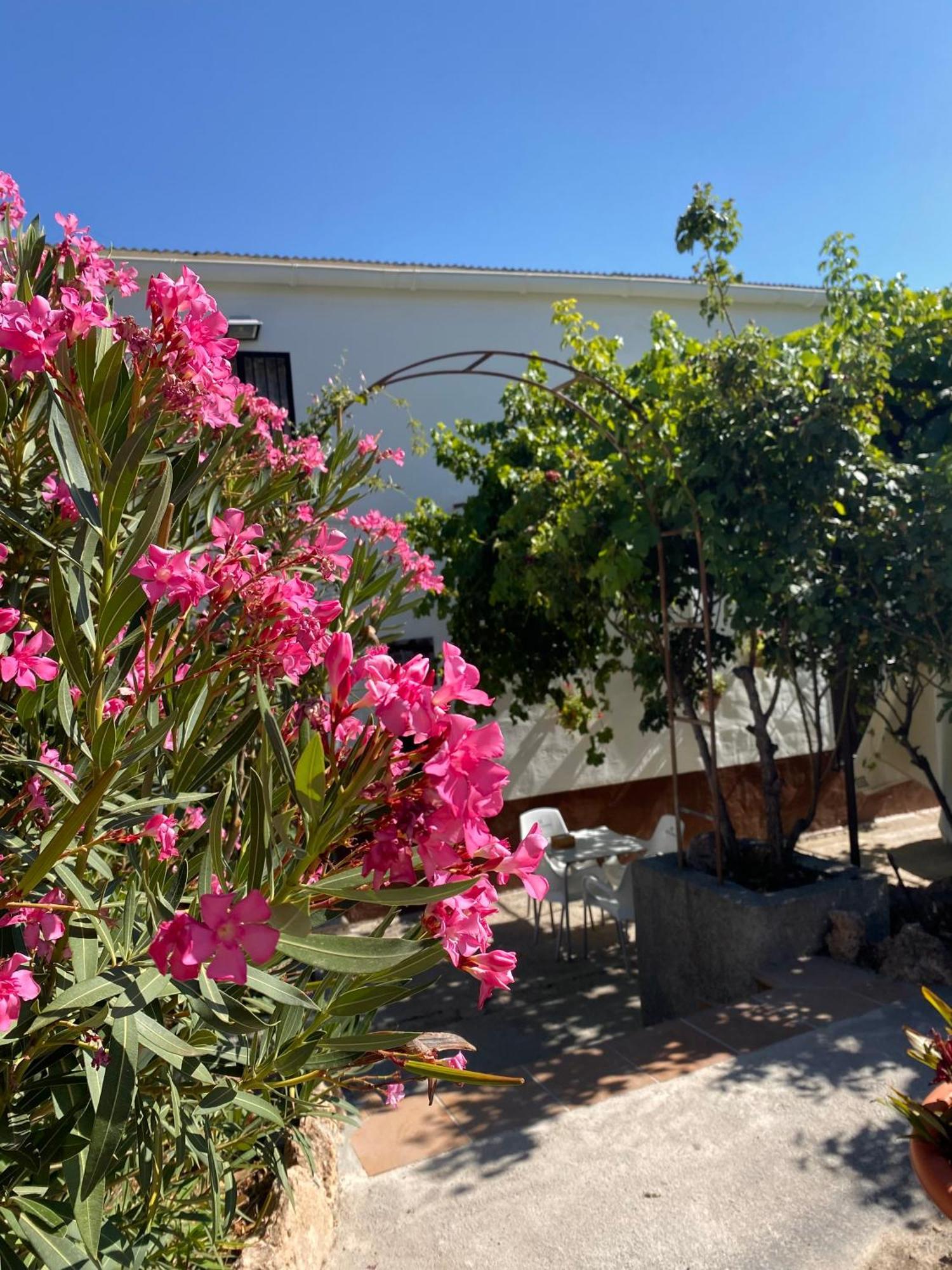 Rural Mar De Olivos Holiday home Castril