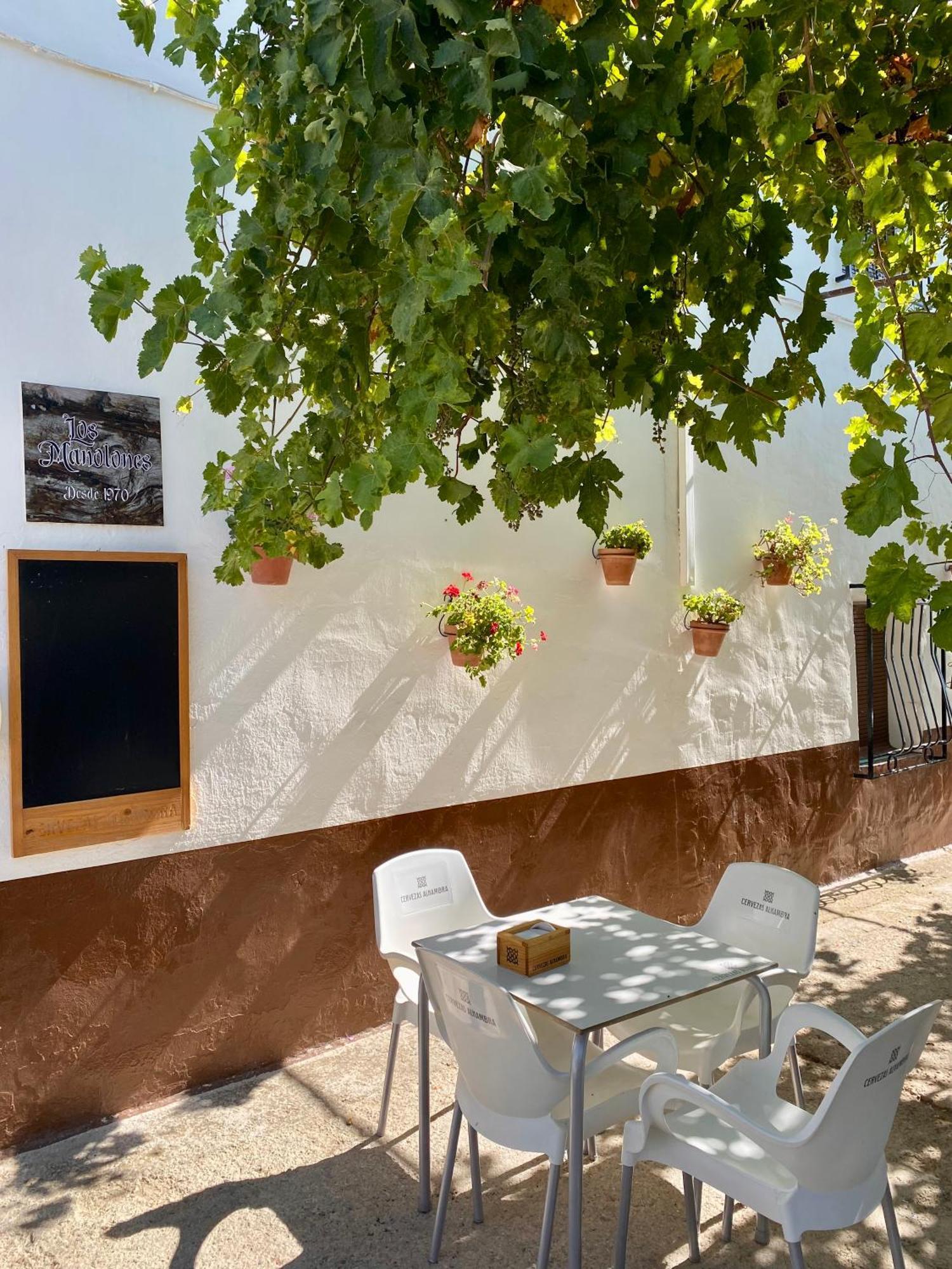 Holiday home Rural Mar De Olivos *