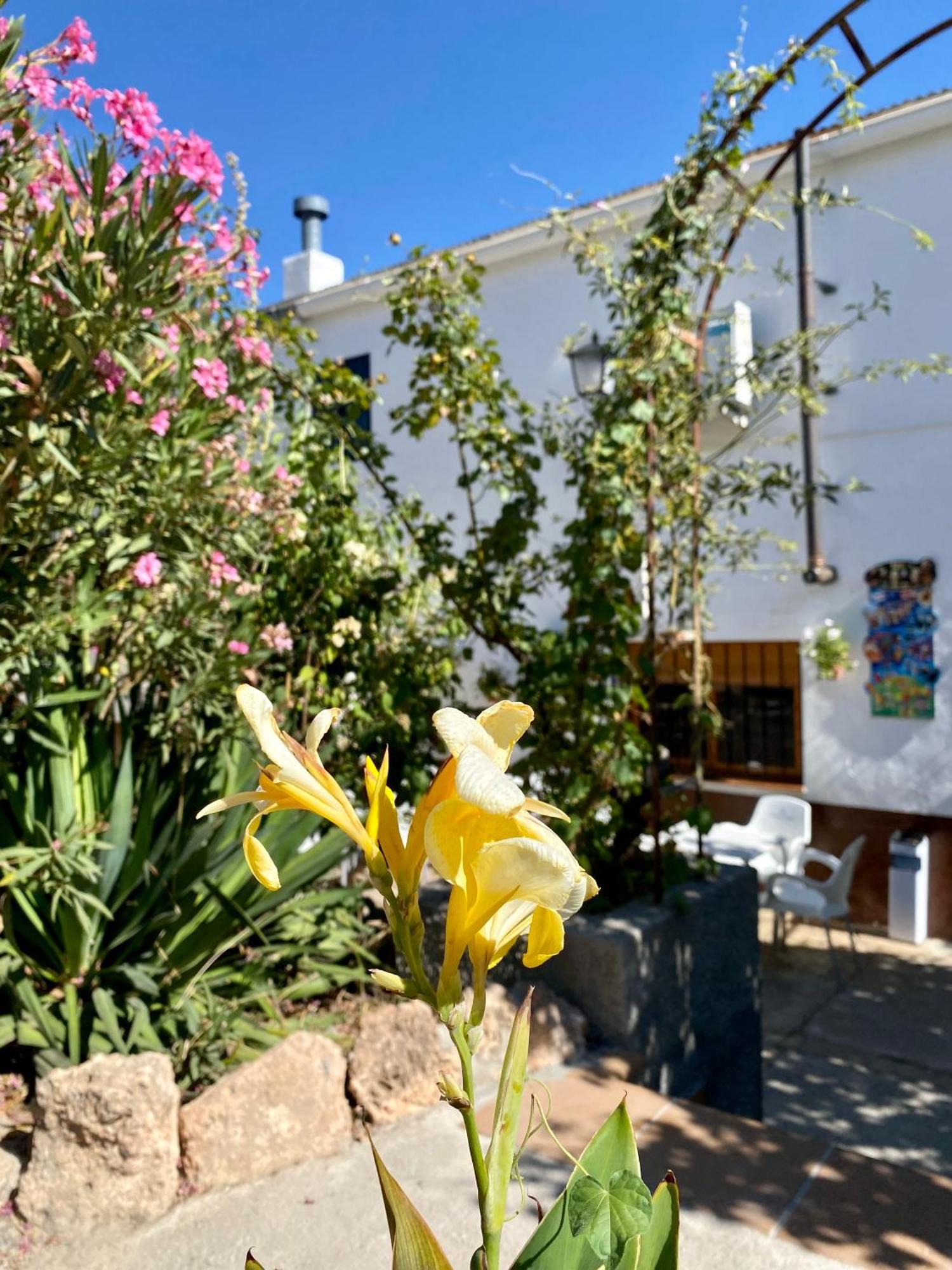 Rural Mar De Olivos Holiday home *